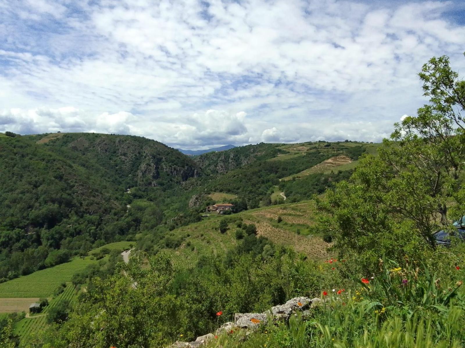 Gites De Revirand Sarras Exterior photo